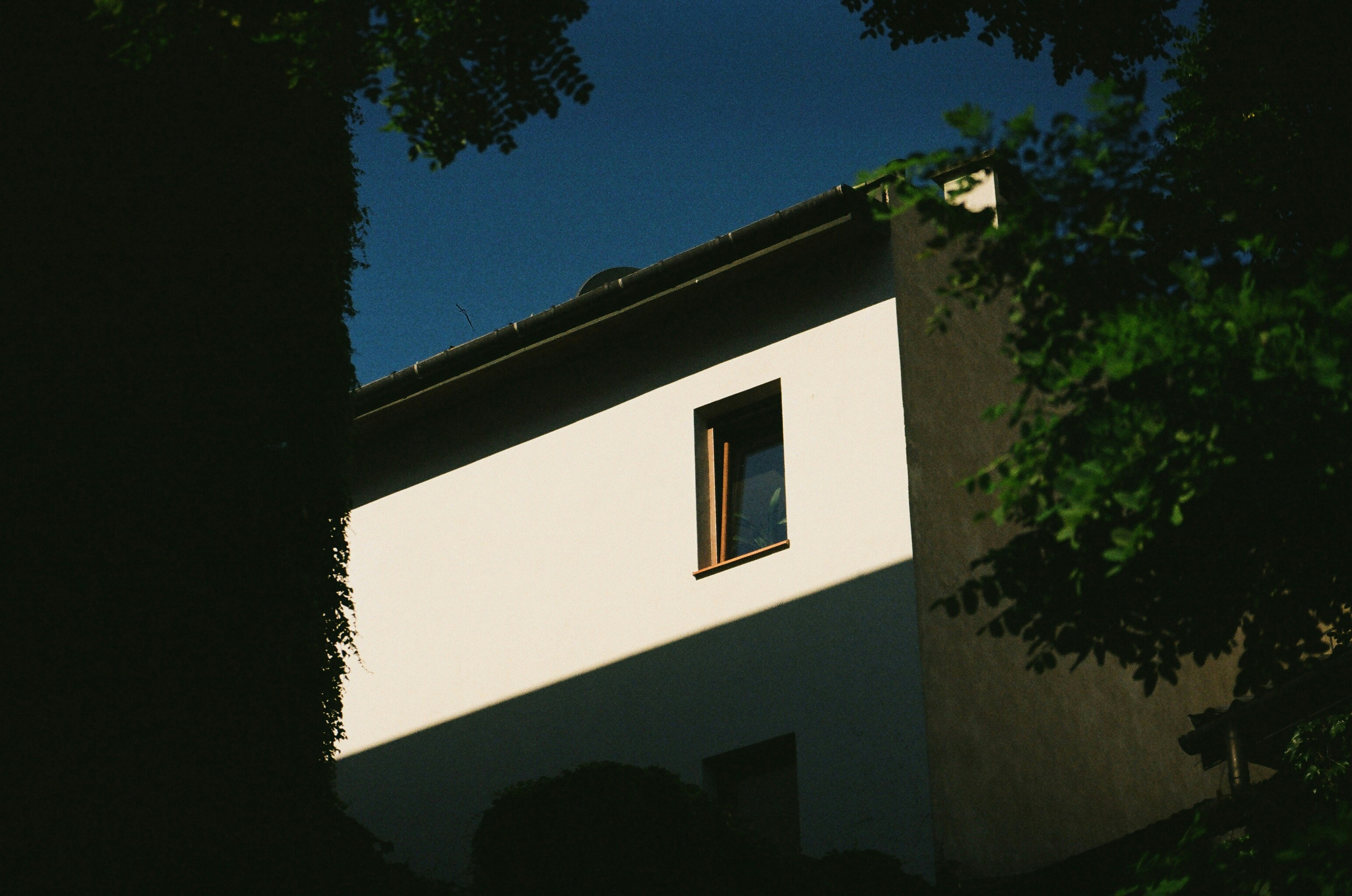 A house seen through some greenery. The shadows cast are very linear.